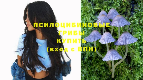 ГАЛЛЮЦИНОГЕННЫЕ ГРИБЫ Касимов