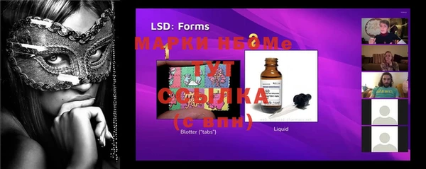 шишки Каменногорск