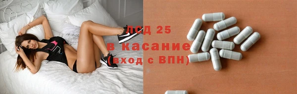 ГАЛЛЮЦИНОГЕННЫЕ ГРИБЫ Касимов