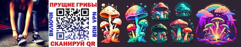 Галлюциногенные грибы Cubensis  Купить  Спас-Клепики 